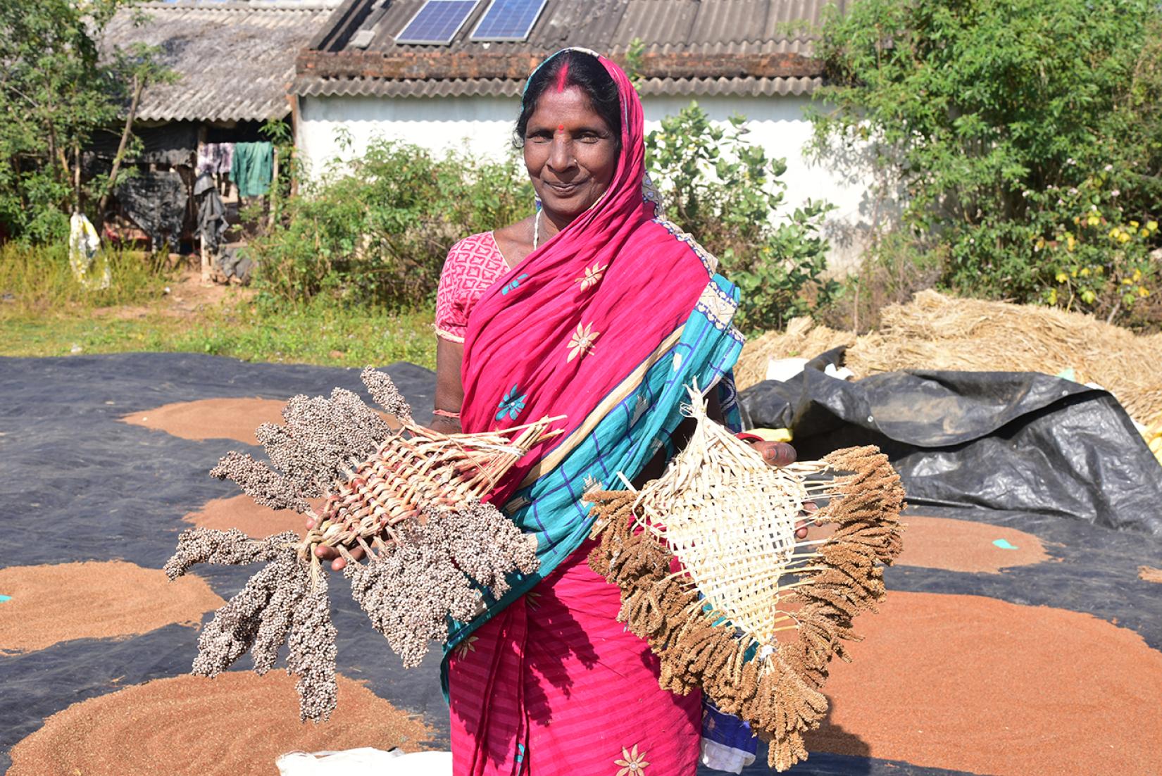 Odisha Millets Mission – sowing seeds of change | United Nations in India