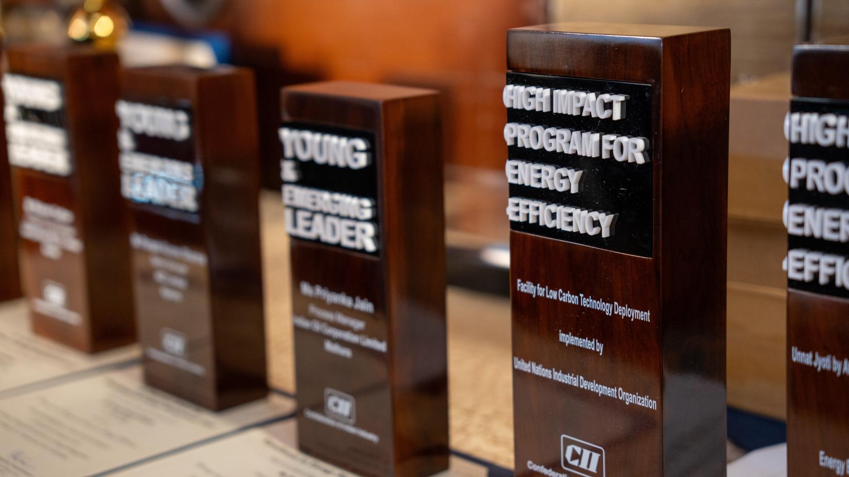 As part of the Summit, UNIDO’s FLCTD Project was awarded the High-Impact Program for Energy Efficiency of 2024 as part of CII's National Award for Excellence in Energy Management.