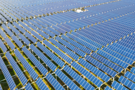Solar panels in a large farm
