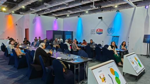 More than 25,000 participants from 182 countries gathered in Cairo, Egypt, for the 12th session of the World Urban Forum from 4-8 November 2024. 