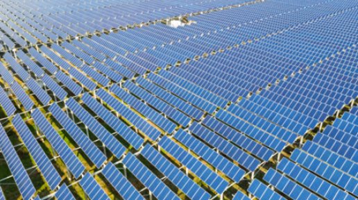 Solar panels in a large farm