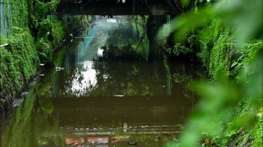 A red car crosses a bridge over a canal in Kochi, India—one of the winning shots from a competition organized as part of the UNEP-backed restoration project. 